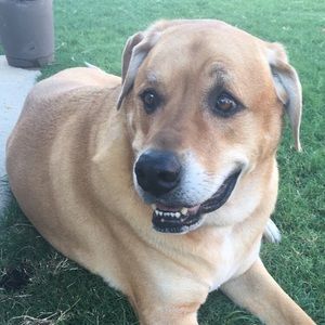 Meet your Posher, Ana